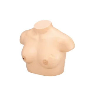 Breast Cancer Training Model