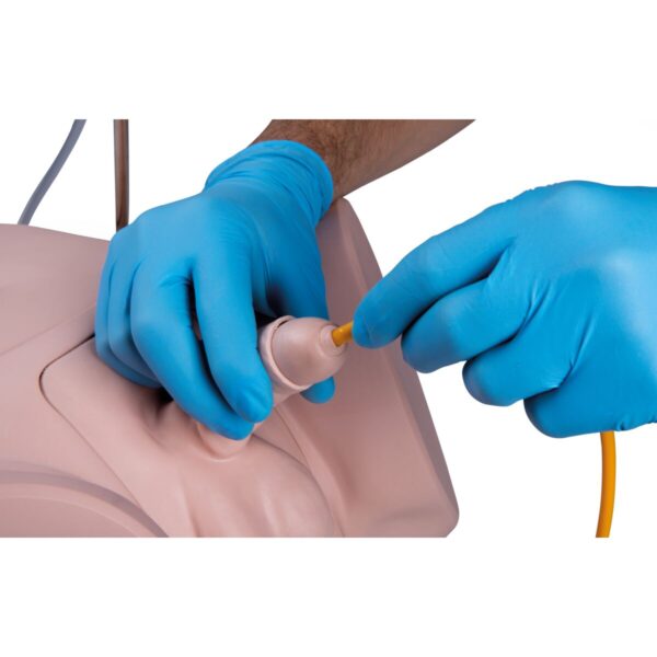 Catheterization Simulator Pro-Male, Light Skin - Image 2