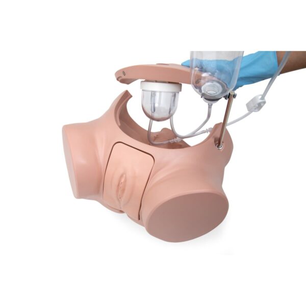Catheterization Simulator Pro-Male, Light Skin - Image 4