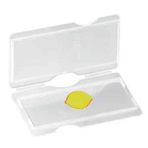 Postage Container for Microscope Slides Made of Polyethylene 10 - Multiple Packs Sizes