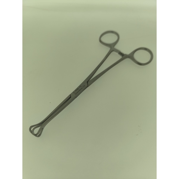 Forceps-Babcock Tissue  Forceps 6 Inches (1)