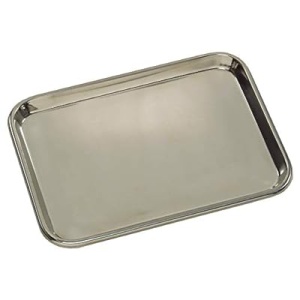 Stainless Steel Instrument Tray 24 x 20 x 4cm (1)